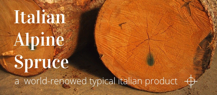 Italian Alpine Spruce